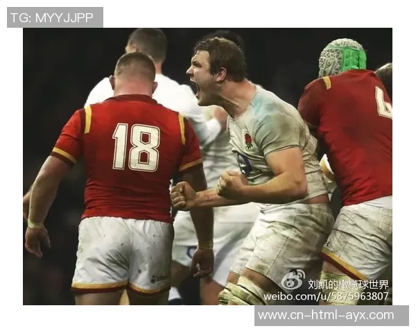 比利时与威尔士激战正酣谁能在这场较量中笑到最后